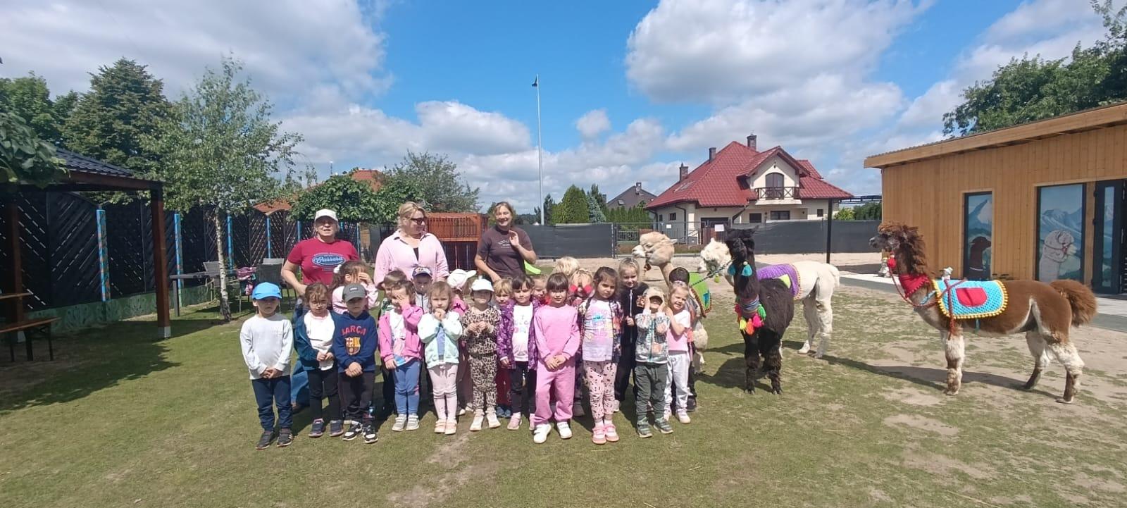 Grupa dzieci z alpakami